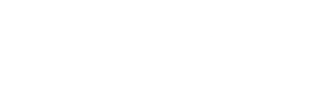 logo blanco brico pìnturas dami