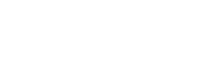 logo blanco ecosmart riders