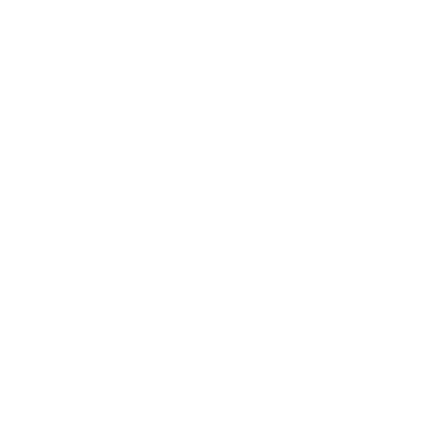 logo essae blanco
