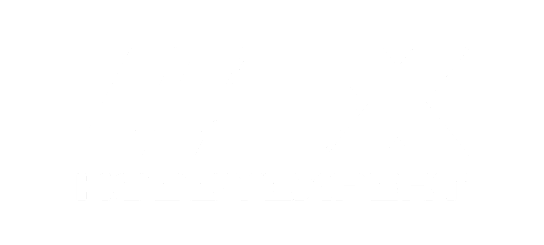 logo hobbyexpert blanco