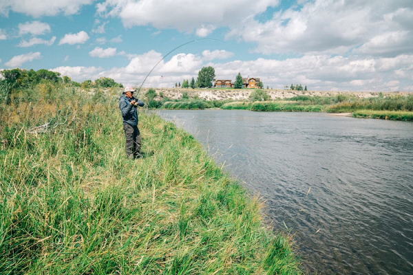 imagen de marca arapaimafishing