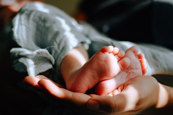 imagen de marca adababy