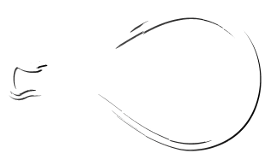 logo padel5 blanco