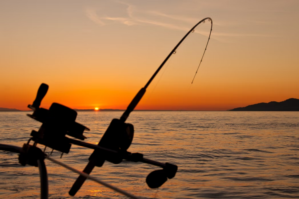 imagen de marca llarnautic