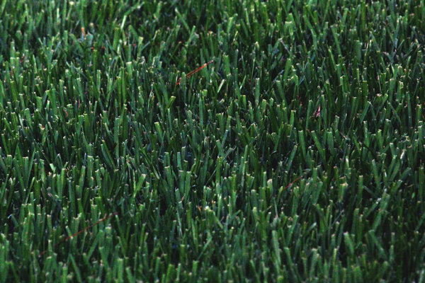 imagen de marca cesped artificial en casa