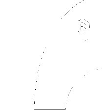 logo cesped artificial en casa blanco
