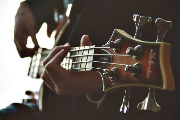 imagen de marca multison