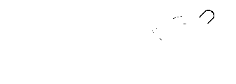 logo padeli blanco