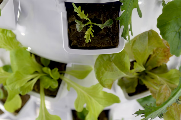 imagen de marca jardín vertical.es