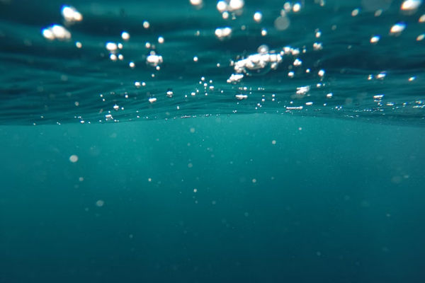 imagen de marca onnautic