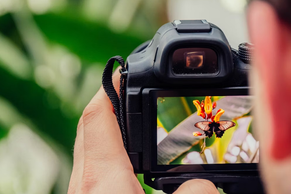 imagen de marca fotosuraj