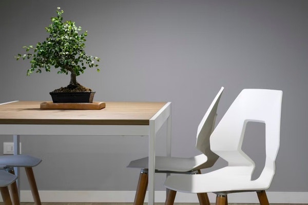 irun bonsai imagen de marca