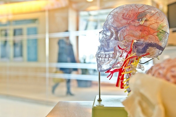 la imagen de marca tanatopraxia