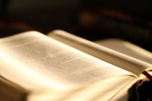 imagen de marca administración de justicia