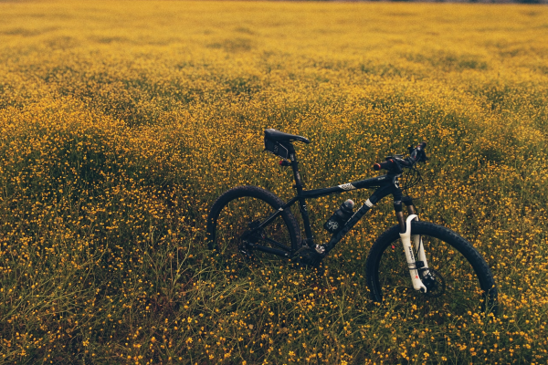 imagen de marca can manolo bikes