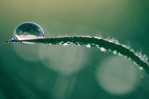 publicidad de la marca tierra de diatomeas