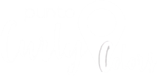 logo curly colors blanco