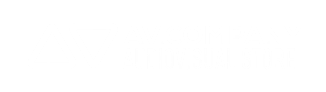 logo av.company blanco
