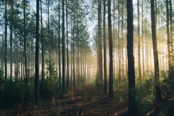 imagen de marca soulnatura