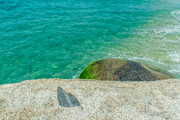 imagen de marca flowo