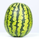 profile photo watermelon