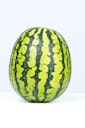 profile photo watermelon