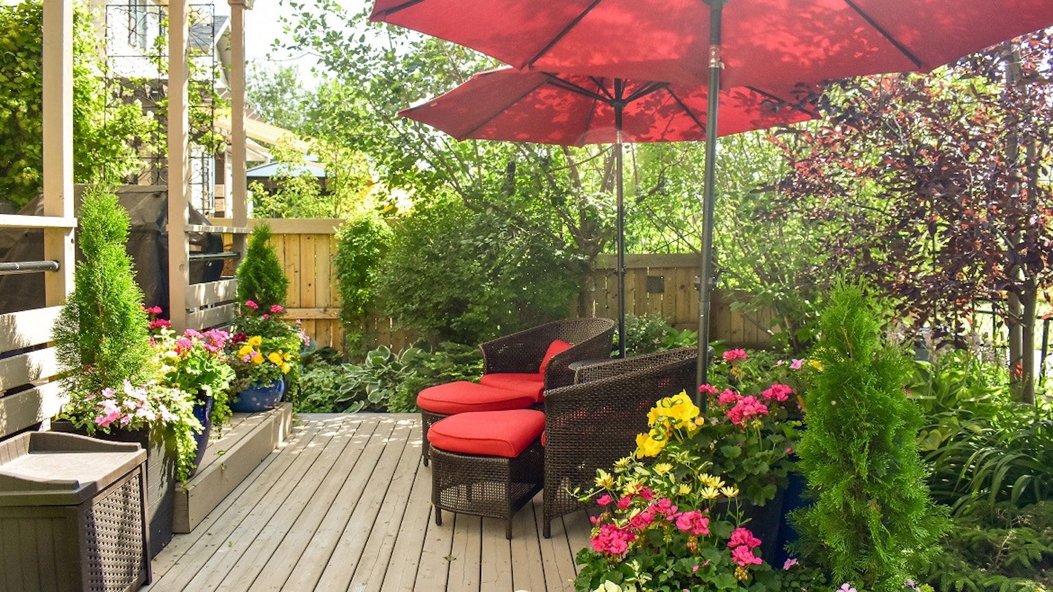 flowers on a deck