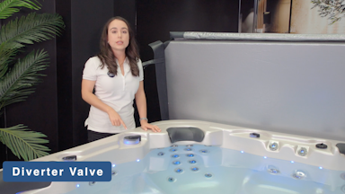 Vortex™ Spa Controls and Features I User Guide