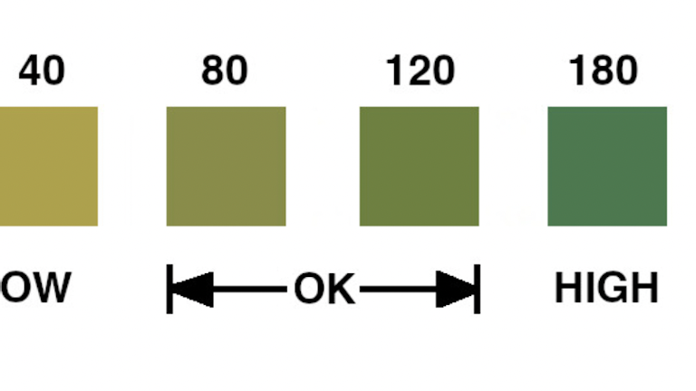 alkalinity levels