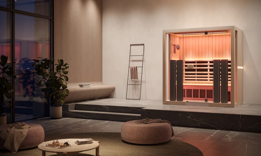 Jacuzzi 3 person sauna in a luxurious home