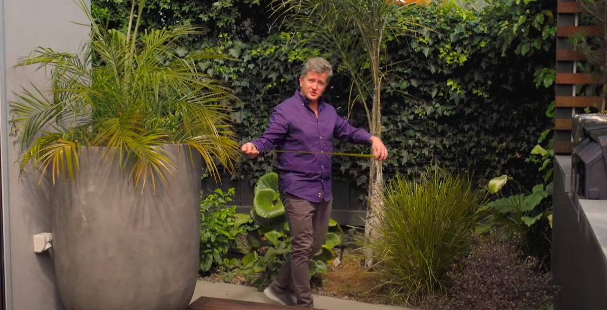 Narrating access video