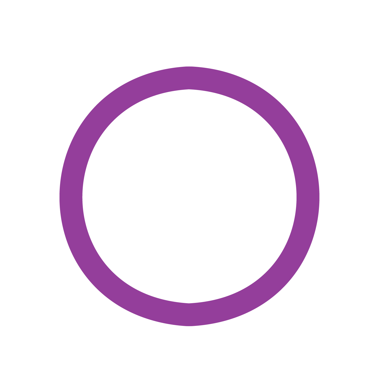 102 mm (4") Directional Jet 