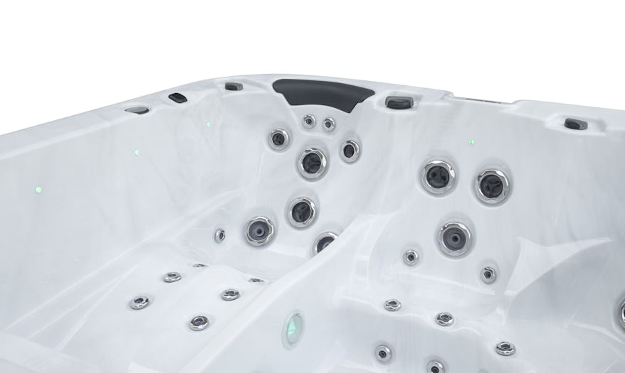 Fisher Dual hydrotherapy lounger