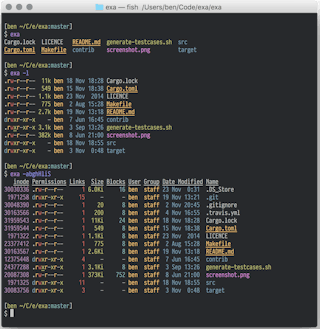 Screenshot of bash shell running exa