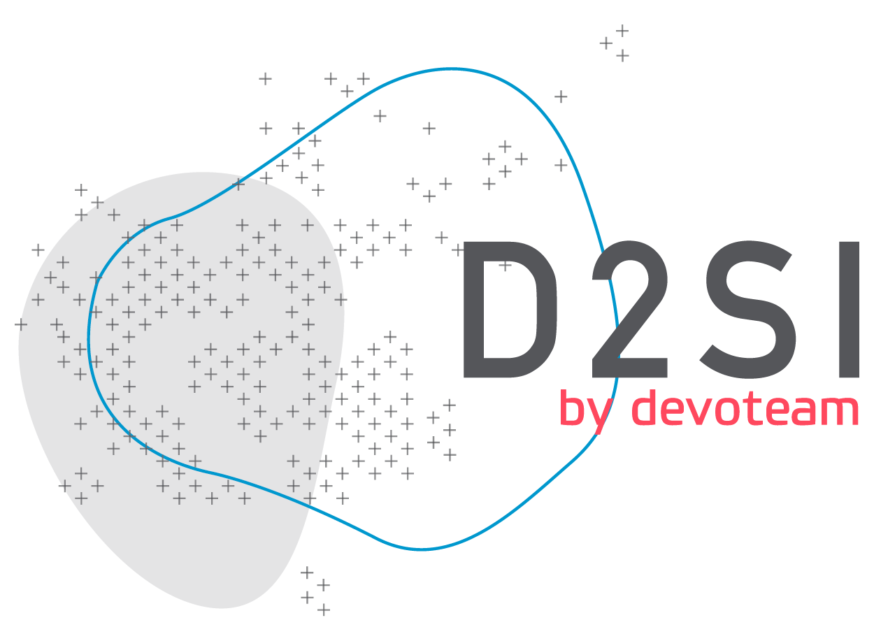 D2SI Logo
