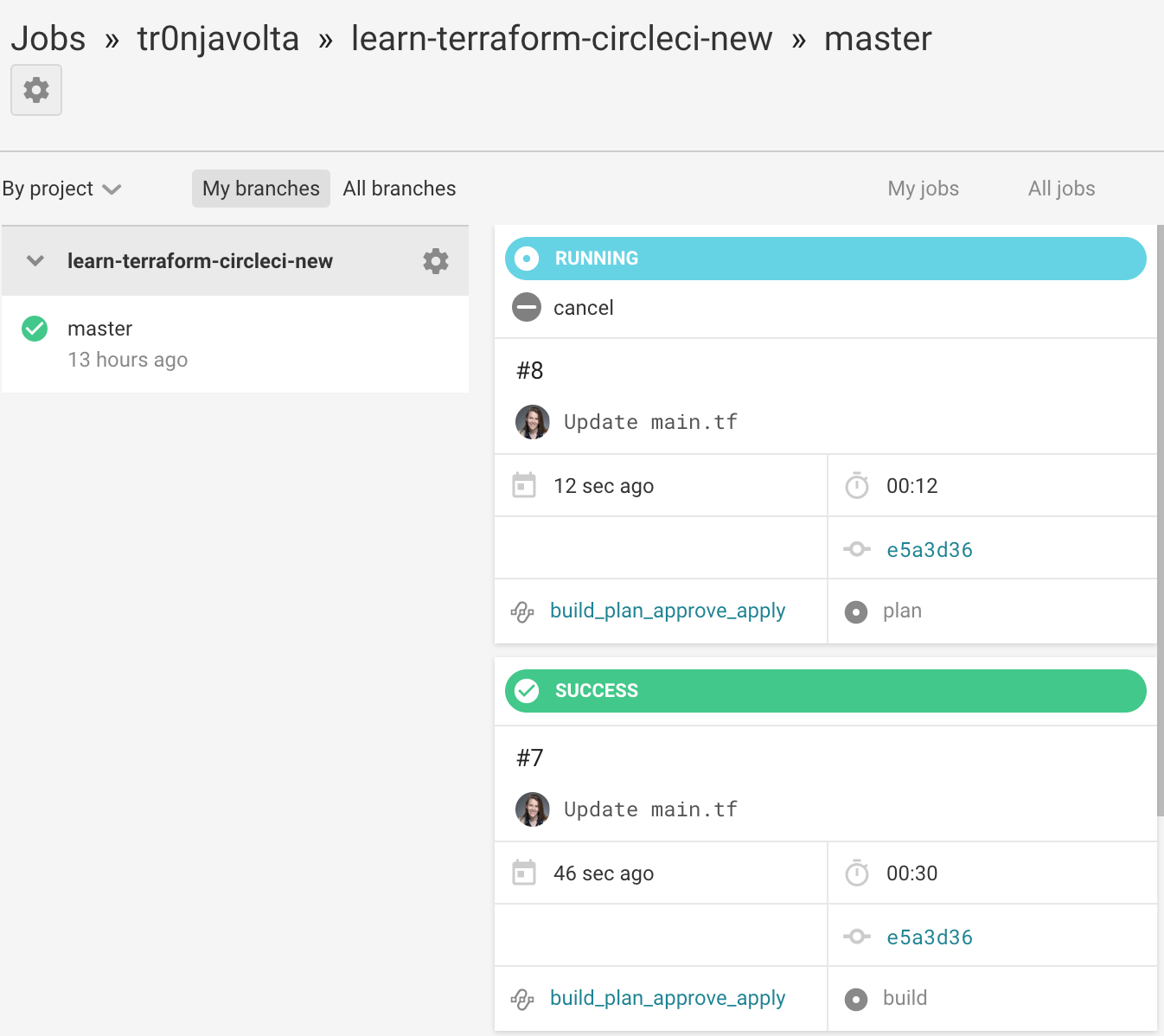 CircleCI UI confirmation view