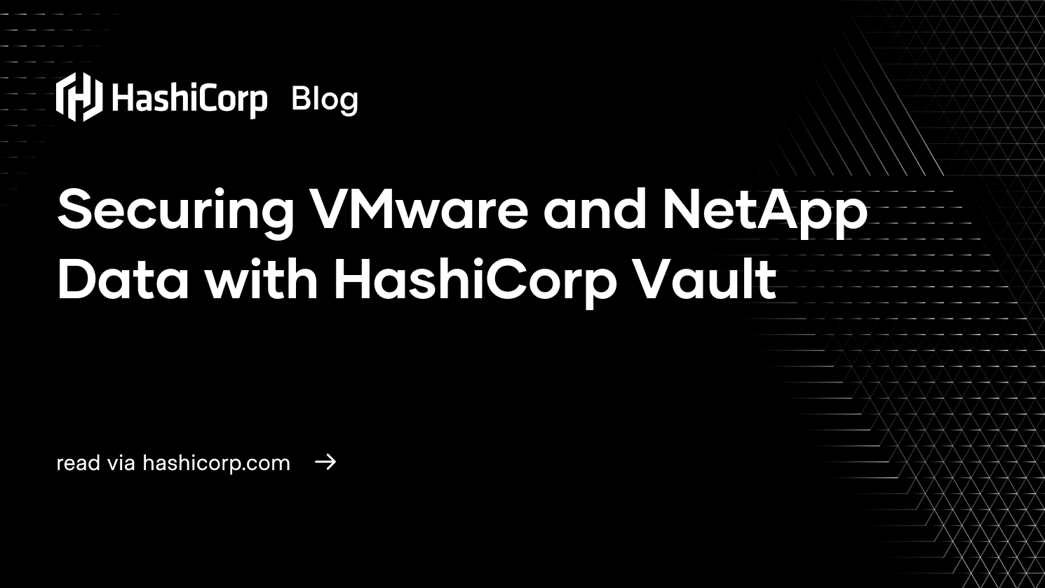 Securing Vmware And Netapp Data With Hashicorp Vault - vault money roblox