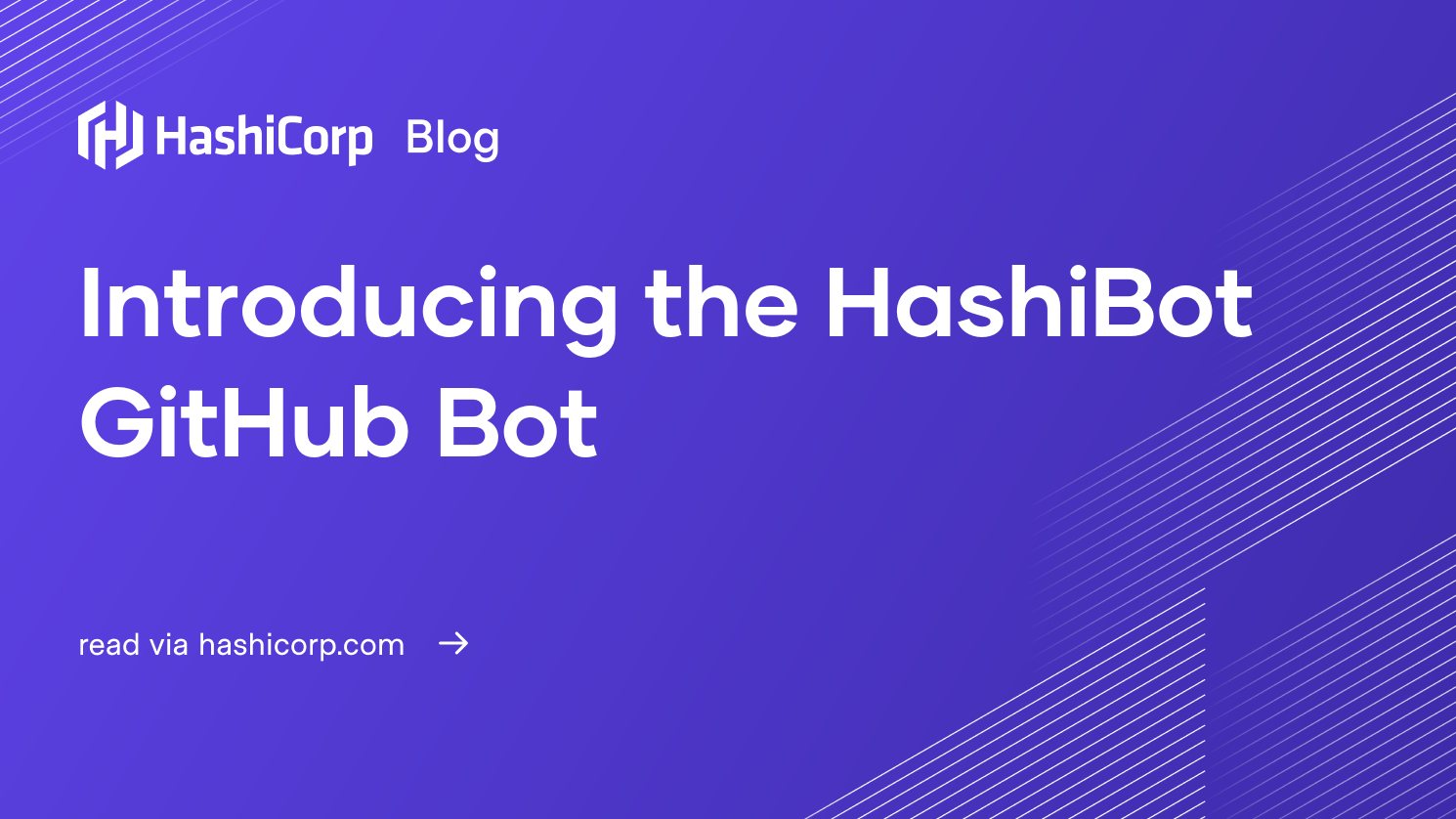 Introducing The Hashibot Github Bot - roblox visit bot