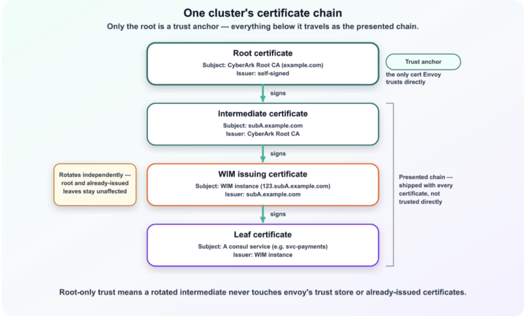 cert chain