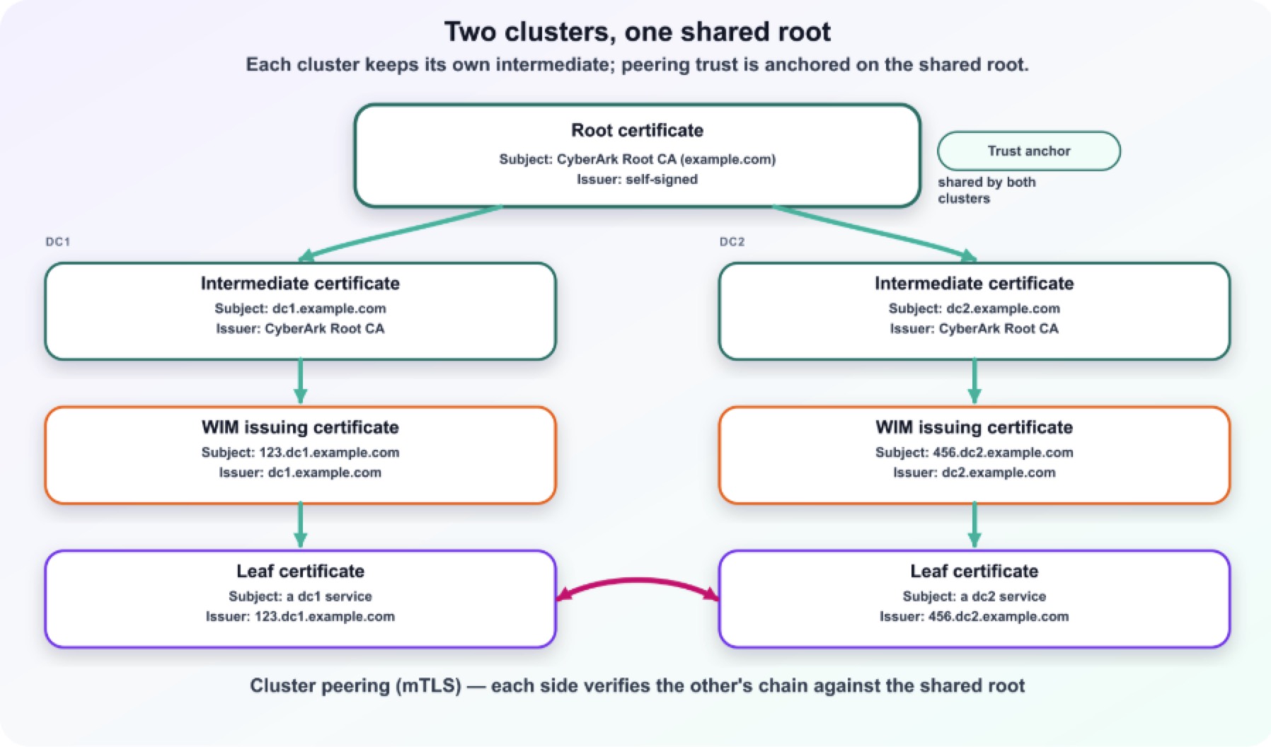 two clusters, one shared root