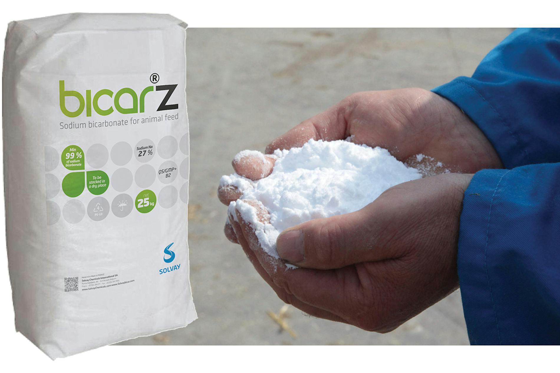 Provalo a 300gr/capo/giorno nelle vacche da latte