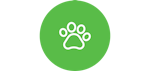 Pet division launched Pet division launched