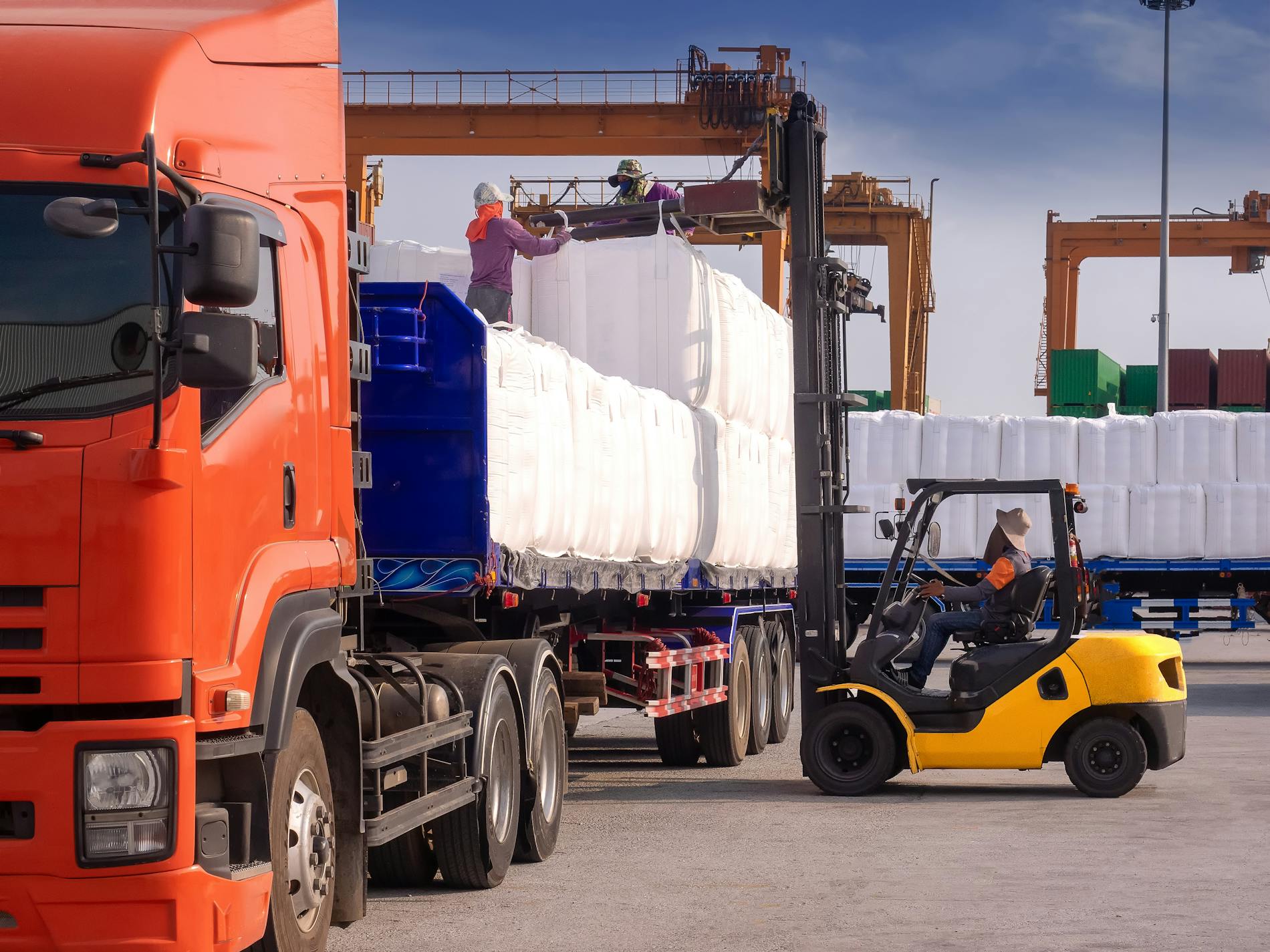 Export italia zootecnia petfood