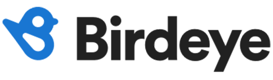 BirdEye logo