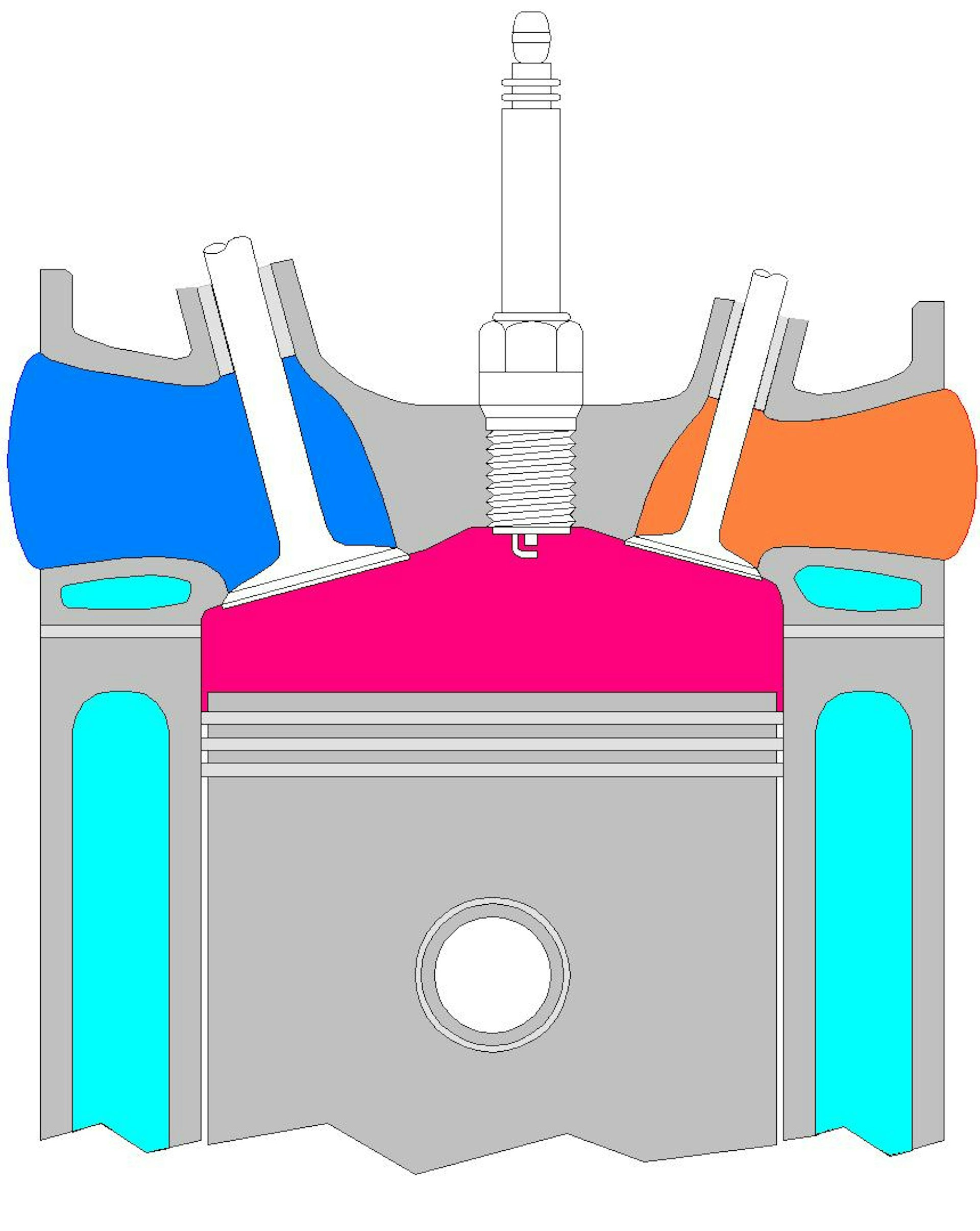 Cut away view of an engine cylinder showing valves and spark plug