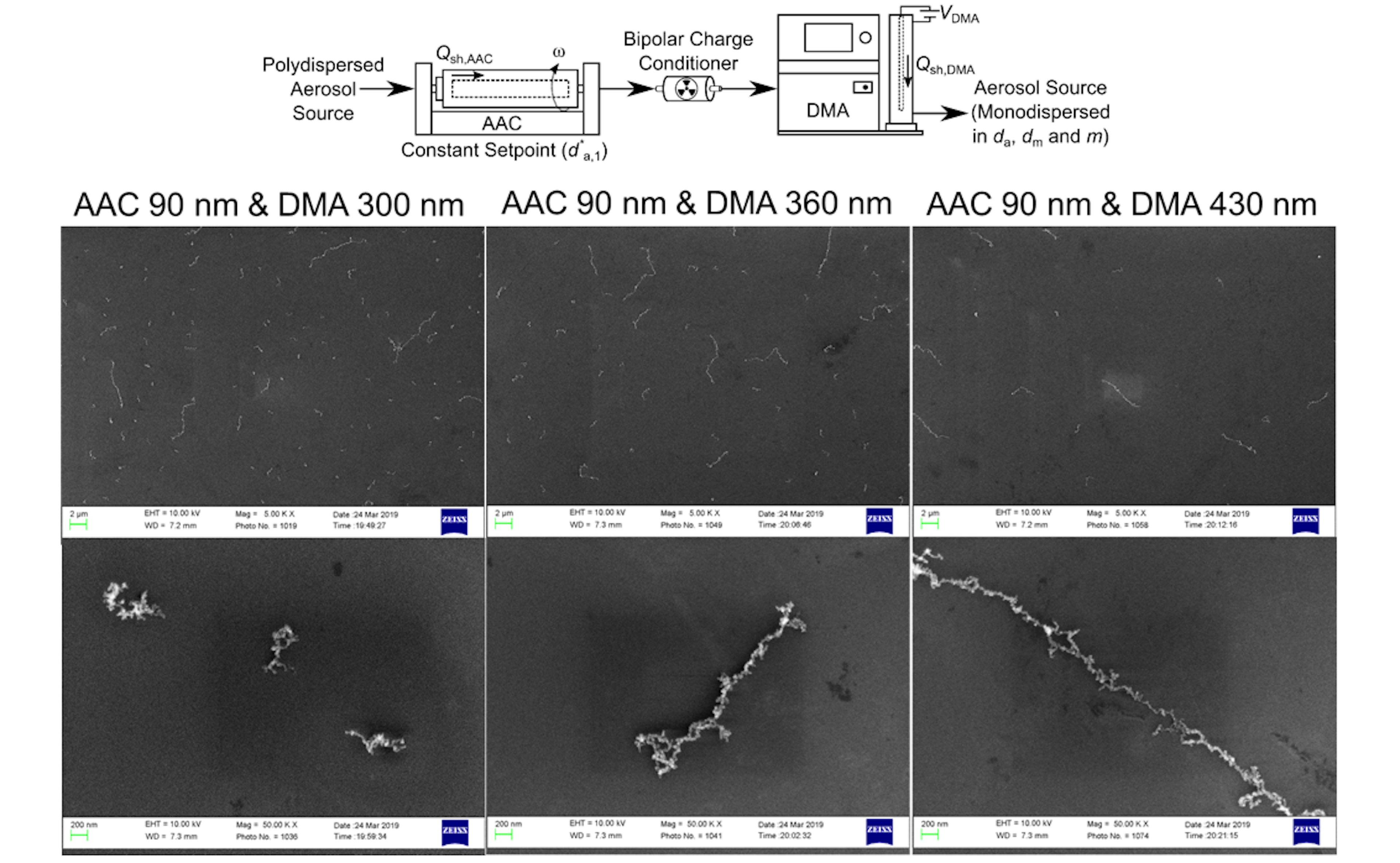 Classifying by AAC and DMA in tandem