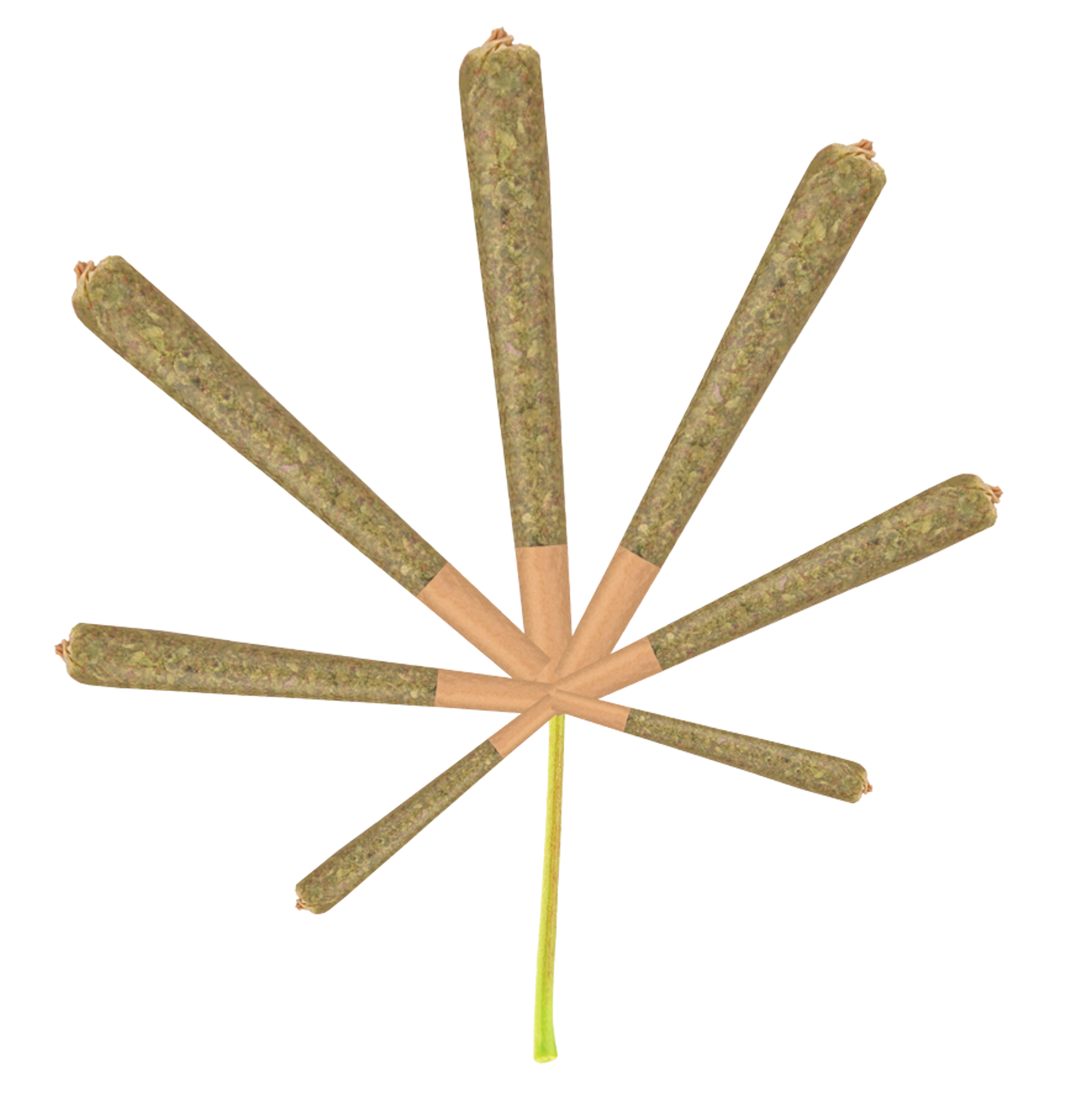 Cannabis leaf