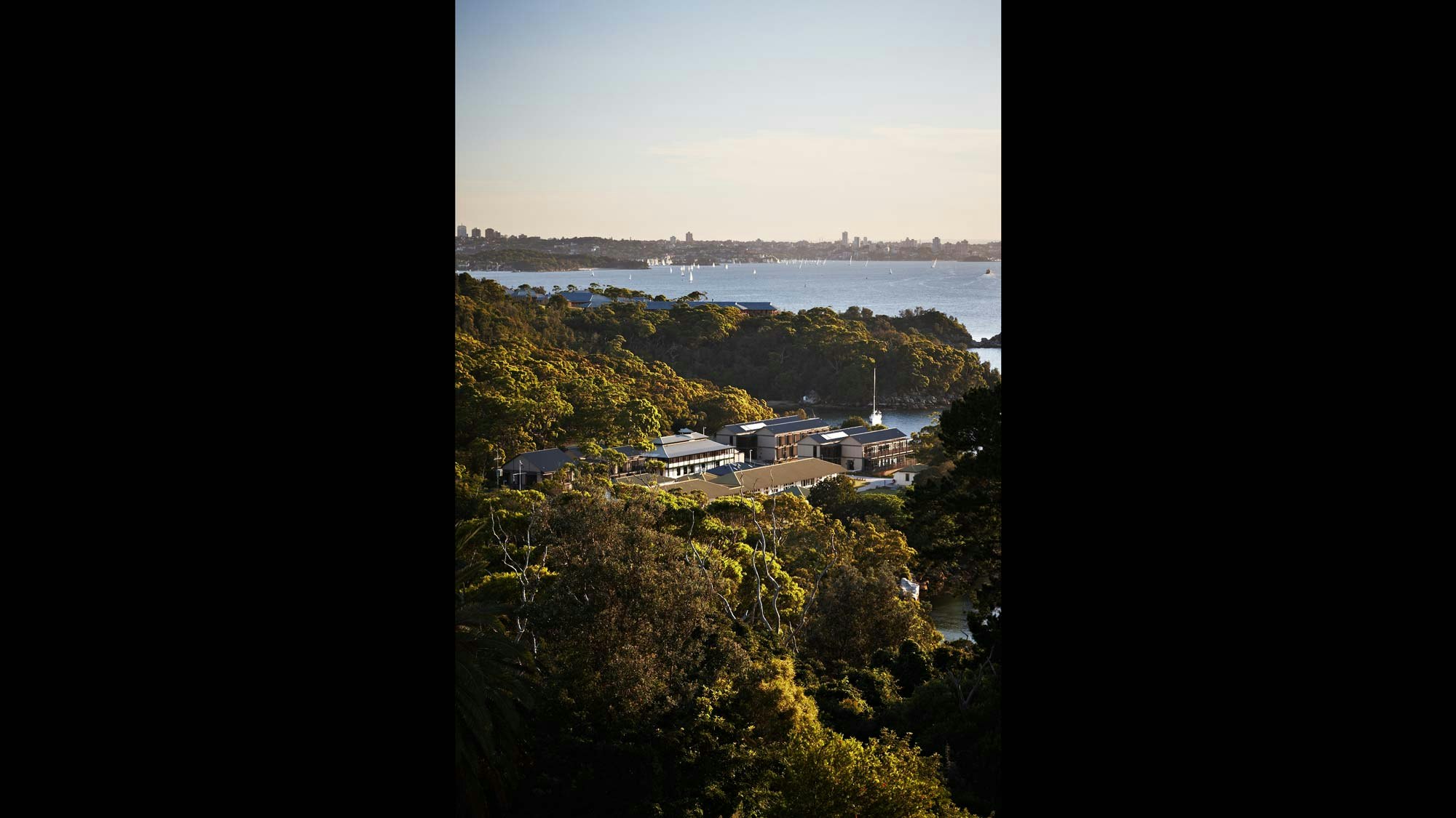 aerial shot of landscape