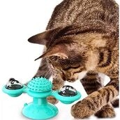 Brinquedos para cães e gatos - Pet shop - Madeira Madeira