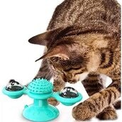 Brinquedos para cães e gatos - Pet shop - Madeira Madeira